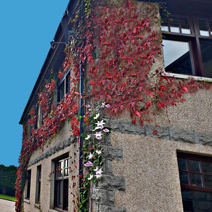 מלון בנצ'ורי Bogenraith House מראה חיצוני תמונה